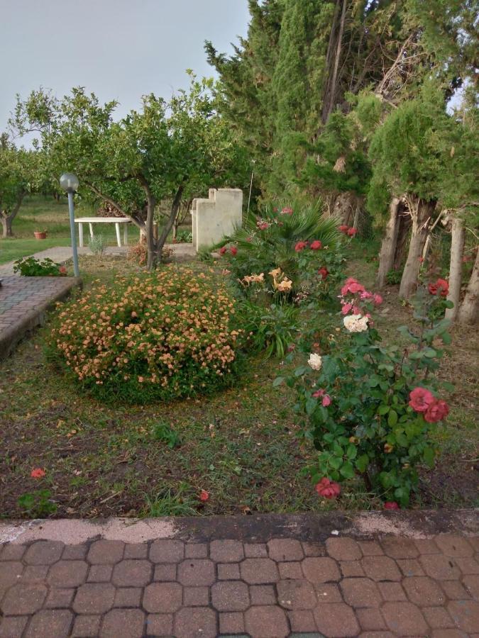 Appartamento In Orosei In Villa Delle Arance 300Mt Dalla Spiaggia エクステリア 写真
