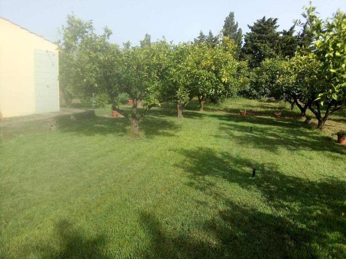 Appartamento In Orosei In Villa Delle Arance 300Mt Dalla Spiaggia エクステリア 写真
