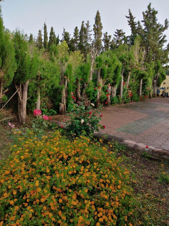 Appartamento In Orosei In Villa Delle Arance 300Mt Dalla Spiaggia エクステリア 写真