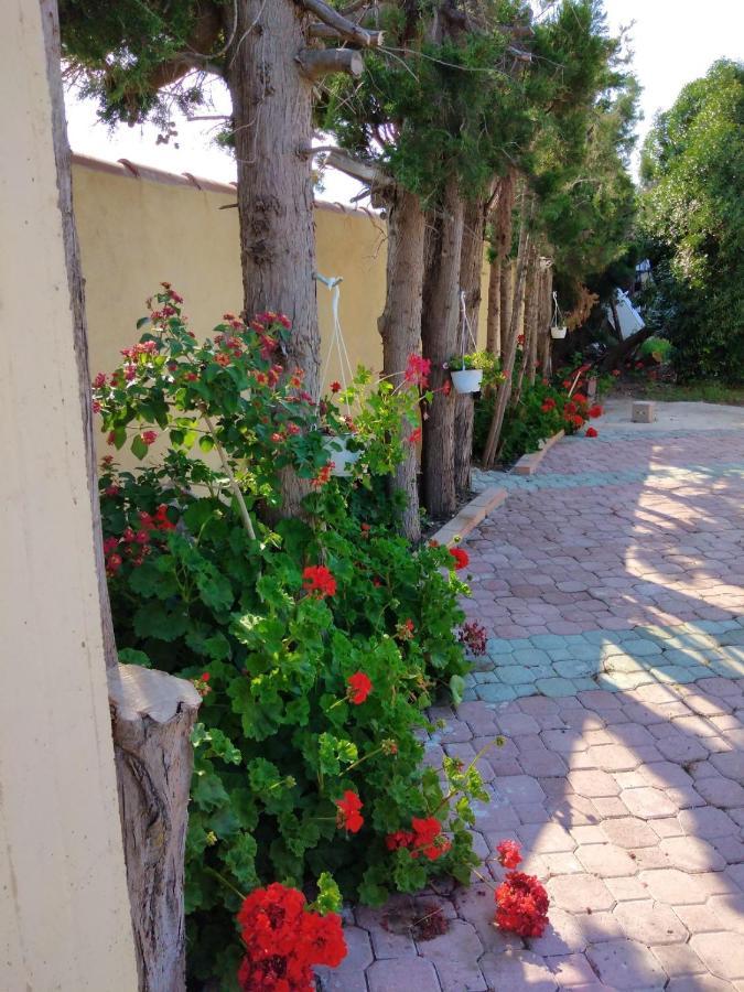 Appartamento In Orosei In Villa Delle Arance 300Mt Dalla Spiaggia エクステリア 写真
